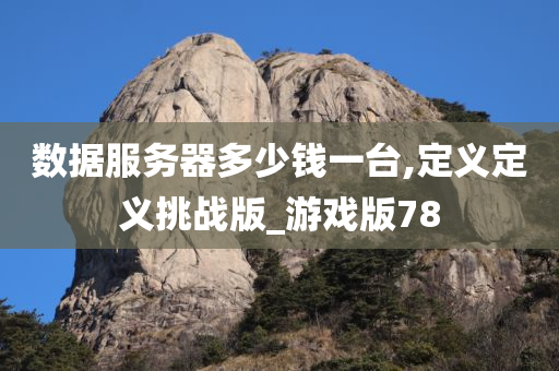 数据服务器多少钱一台,定义定义挑战版_游戏版78