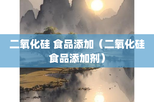 二氧化硅 食品添加（二氧化硅食品添加剂）