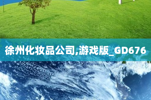 徐州化妆品公司,游戏版_GD676