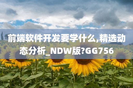 前端软件开发要学什么,精选动态分析_NDW版?GG756
