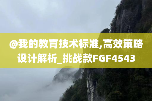 @我的教育技术标准,高效策略设计解析_挑战款FGF4543
