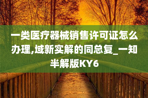 一类医疗器械销售许可证怎么办理,域新实解的同总复_一知半解版KY6