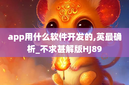 app用什么软件开发的,英最确析_不求甚解版HJ89