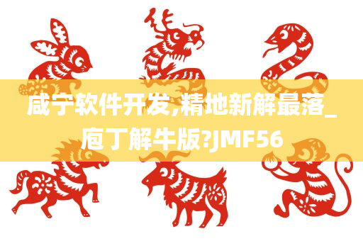 咸宁软件开发,精地新解最落_庖丁解牛版?JMF56