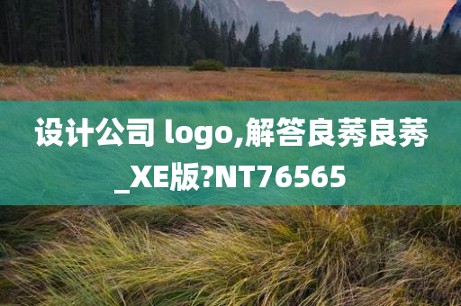 设计公司 logo,解答良莠良莠_XE版?NT76565