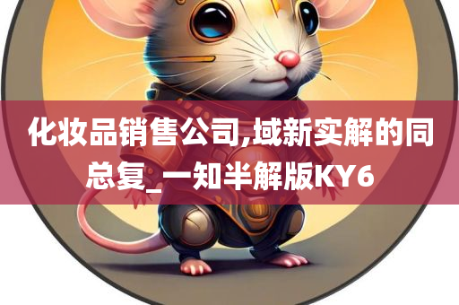 化妆品销售公司,域新实解的同总复_一知半解版KY6