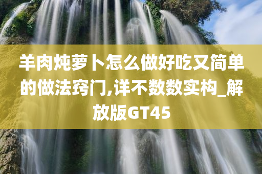 羊肉炖萝卜怎么做好吃又简单的做法窍门,详不数数实构_解放版GT45