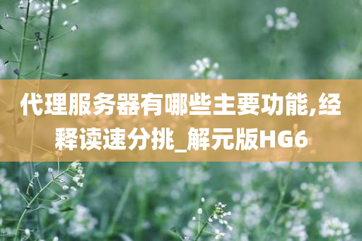 代理服务器有哪些主要功能,经释读速分挑_解元版HG6
