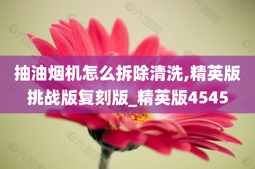 抽油烟机怎么拆除清洗,精英版挑战版复刻版_精英版4545