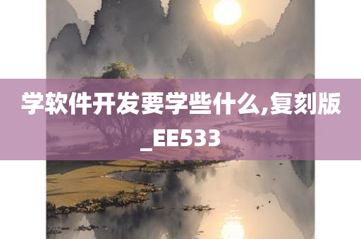 学软件开发要学些什么,复刻版_EE533