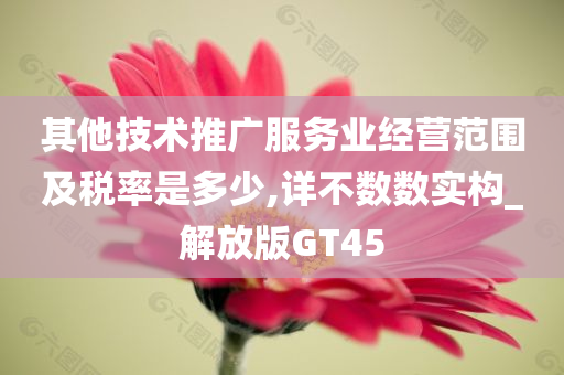 其他技术推广服务业经营范围及税率是多少,详不数数实构_解放版GT45