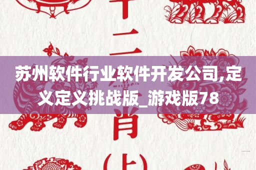 苏州软件行业软件开发公司,定义定义挑战版_游戏版78