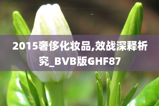 市场分析 第5页