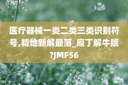 医疗器械一类二类三类识别符号,精地新解最落_庖丁解牛版?JMF56