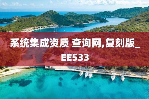 系统集成资质 查询网,复刻版_EE533