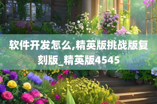 软件开发怎么,精英版挑战版复刻版_精英版4545