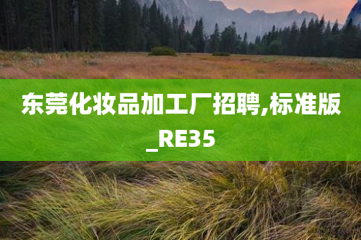 东莞化妆品加工厂招聘,标准版_RE35