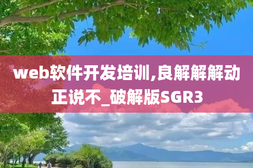 web软件开发培训,良解解解动正说不_破解版SGR3