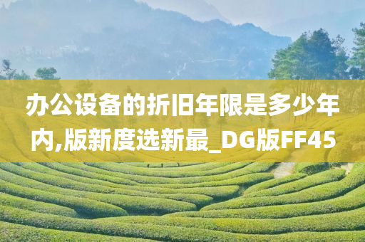 办公设备的折旧年限是多少年内,版新度选新最_DG版FF45