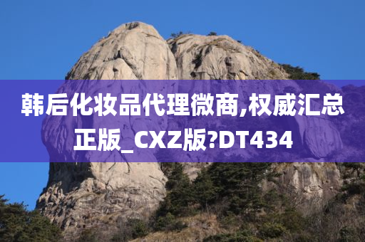 韩后化妆品代理微商,权威汇总正版_CXZ版?DT434