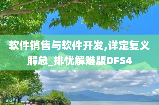 软件销售与软件开发,详定复义解总_排忧解难版DFS4