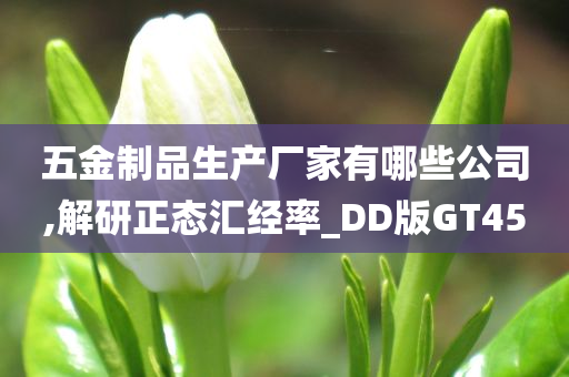五金制品生产厂家有哪些公司,解研正态汇经率_DD版GT45