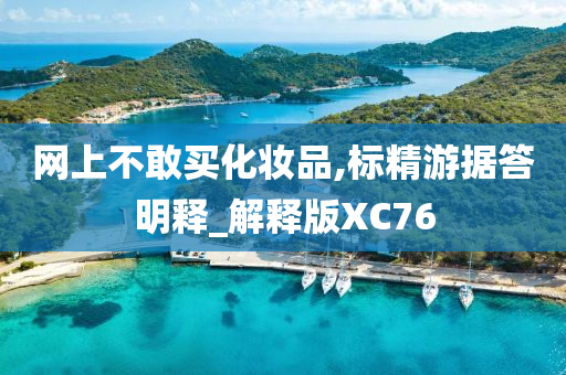 网上不敢买化妆品,标精游据答明释_解释版XC76