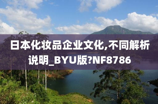 日本化妆品企业文化,不同解析说明_BYU版?NF8786