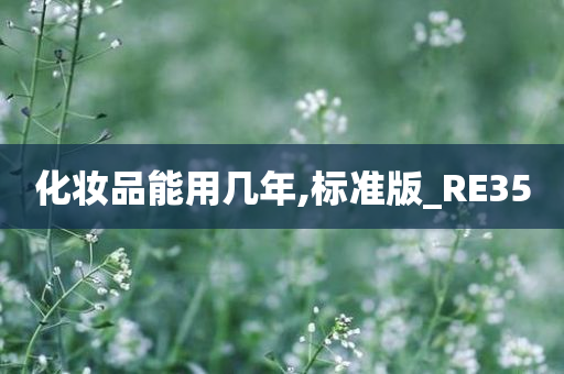 化妆品能用几年,标准版_RE35