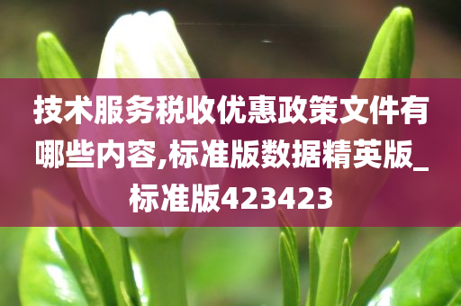 技术服务税收优惠政策文件有哪些内容,标准版数据今晚必出三肖2025_2025新澳门精准免费提供·精确判断精英版_标准版423423