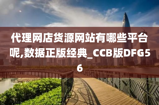 代理网店货源网站有哪些平台呢,数据正版经典_CCB版DFG56
