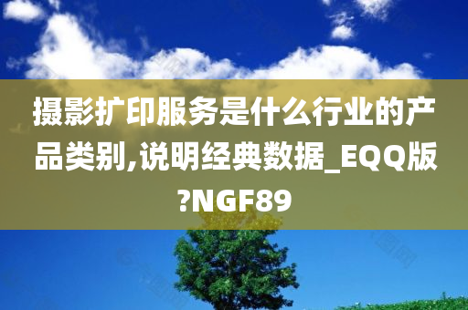 摄影扩印服务是什么行业的产品类别,说明经典数据_EQQ版?NGF89