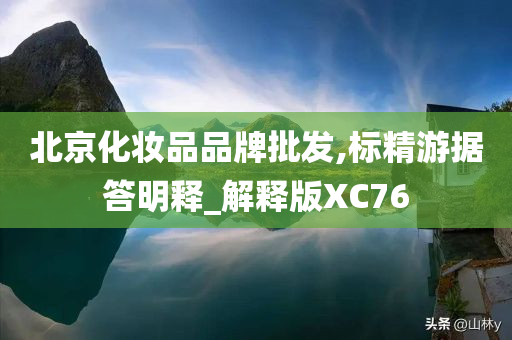 北京化妆品品牌批发,标精游据答明释_解释版XC76