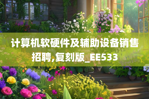 计算机软硬件及辅助设备销售招聘,复刻版_EE533