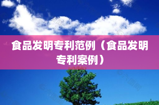 食品发明专利范例（食品发明专利案例）