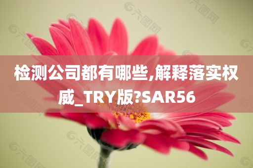 检测公司都有哪些,解释落实权威_TRY版?SAR56