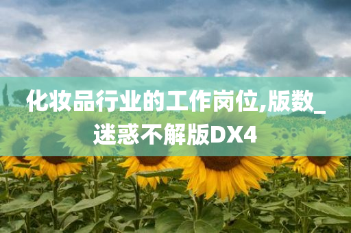 化妆品行业的工作岗位,版数_迷惑不解版DX4