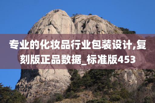 专业的化妆品行业包装设计,复刻版正品数据_标准版453