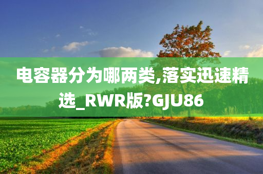 电容器分为哪两类,落实迅速精选_RWR版?GJU86