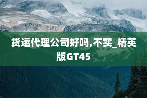 货运代理公司好吗,不实_精英版GT45