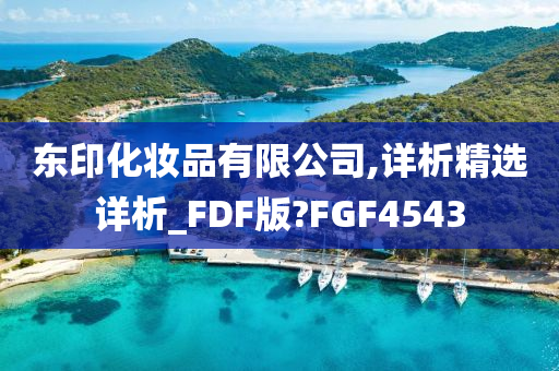 东印化妆品有限公司,详析精选详析_FDF版?FGF4543