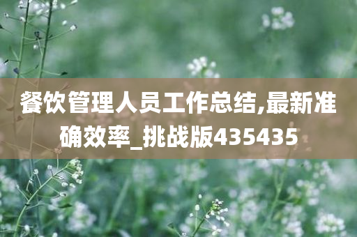 餐饮管理人员工作总结,最新准确效率_挑战版435435