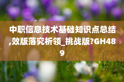 中职信息技术基础知识点总结,效版落究析领_挑战版?GH489