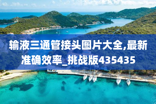 输液三通管接头图片大全,最新准确效率_挑战版435435