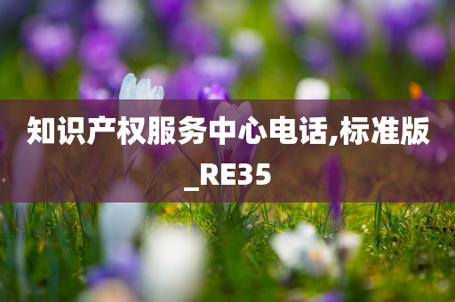 知识产权服务中心电话,标准版_RE35