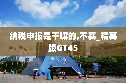 纳税申报是干嘛的,不实_精英版GT45