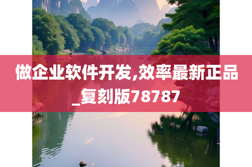 做企业软件开发,效率最新正品_复刻版78787