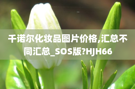 千诺尔化妆品图片价格,汇总不同汇总_SOS版?HJH66