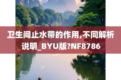 卫生间止水带的作用,不同解析说明_BYU版?NF8786