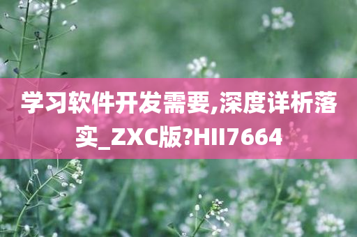 学习软件开发需要,深度详析落实_ZXC版?HII7664